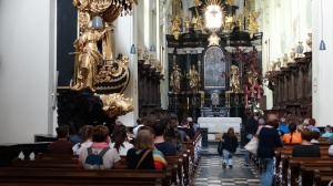 DSC04123.JPG - Średni (szer. 300px)